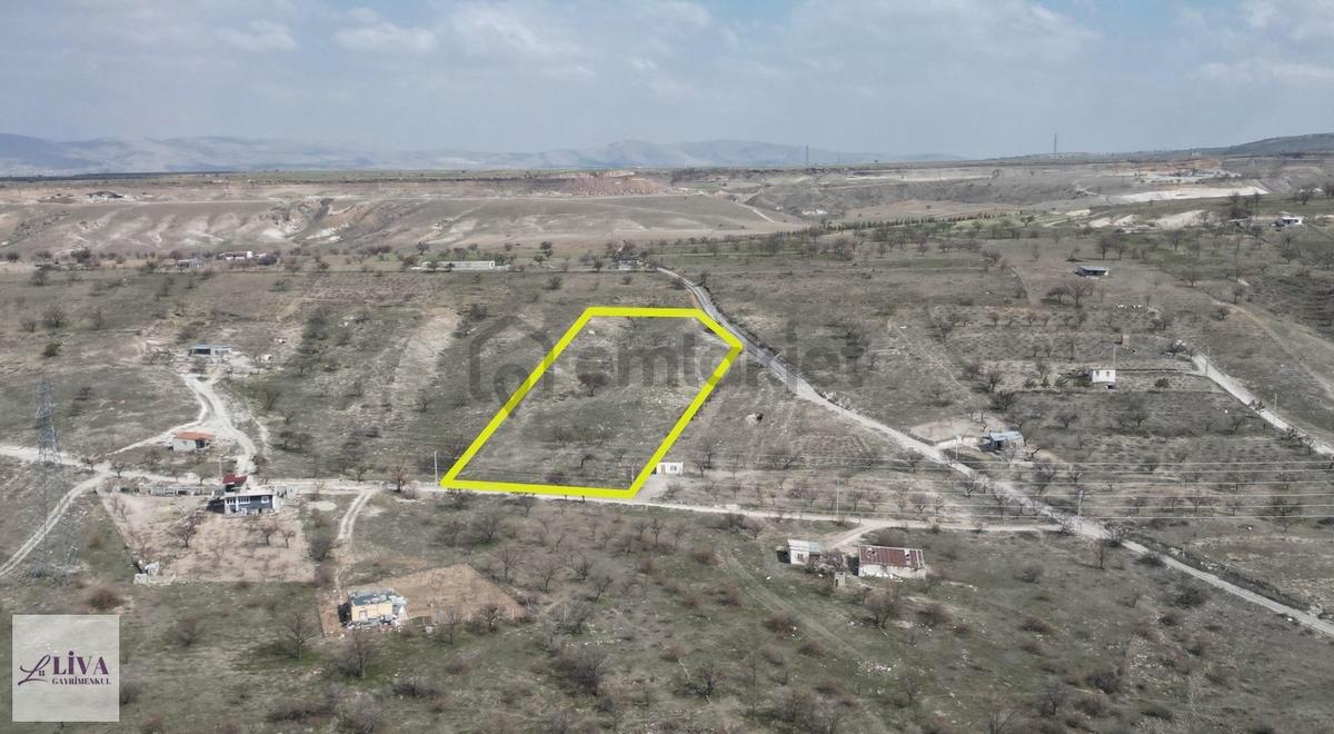 Liva'dan Reşadiye'de 1230 M² Bağ - 8