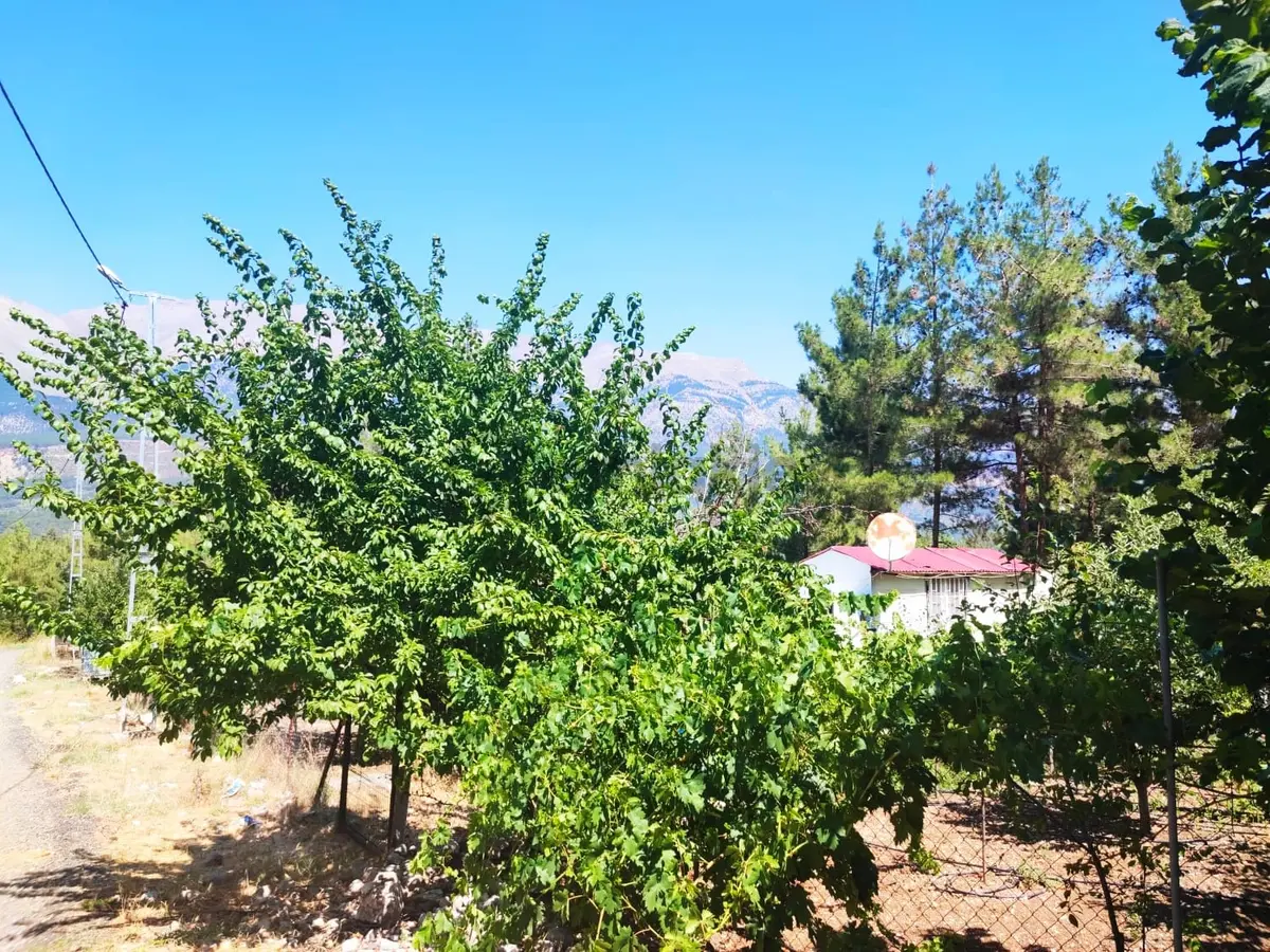 Kar Emlaktan Eskikonacıkta 240m2 Satılık Arsa - 33