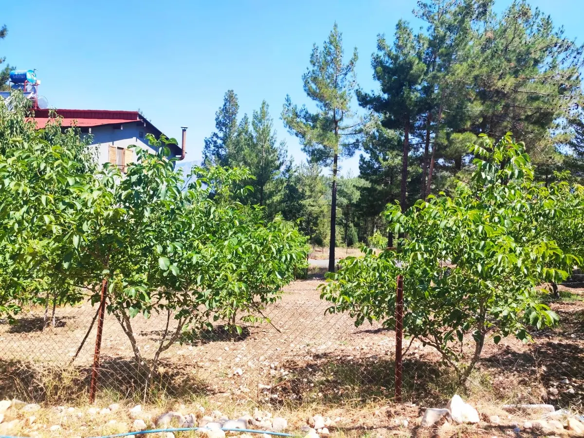 Kar Emlaktan Eskikonacıkta 240m2 Satılık Arsa - 34
