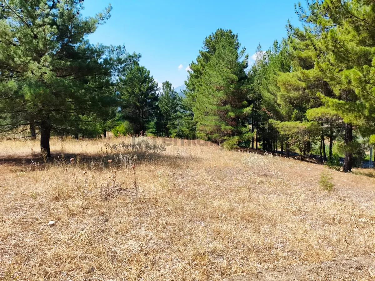 Kar Emlaktan Eskikonacıkta 500m2 Satılık Arsa - 23