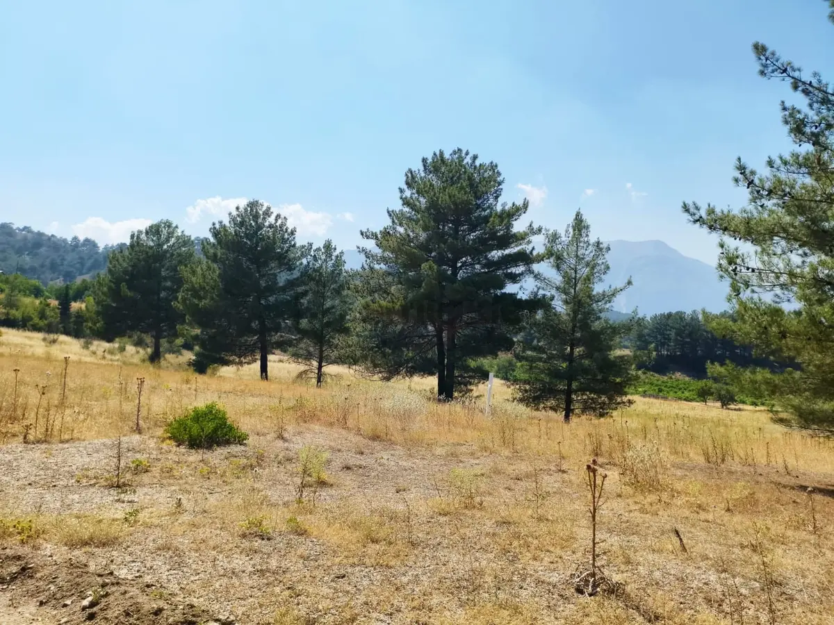 Kar Emlaktan Eskikonacıkta 500m2 Satılık Arsa - 22
