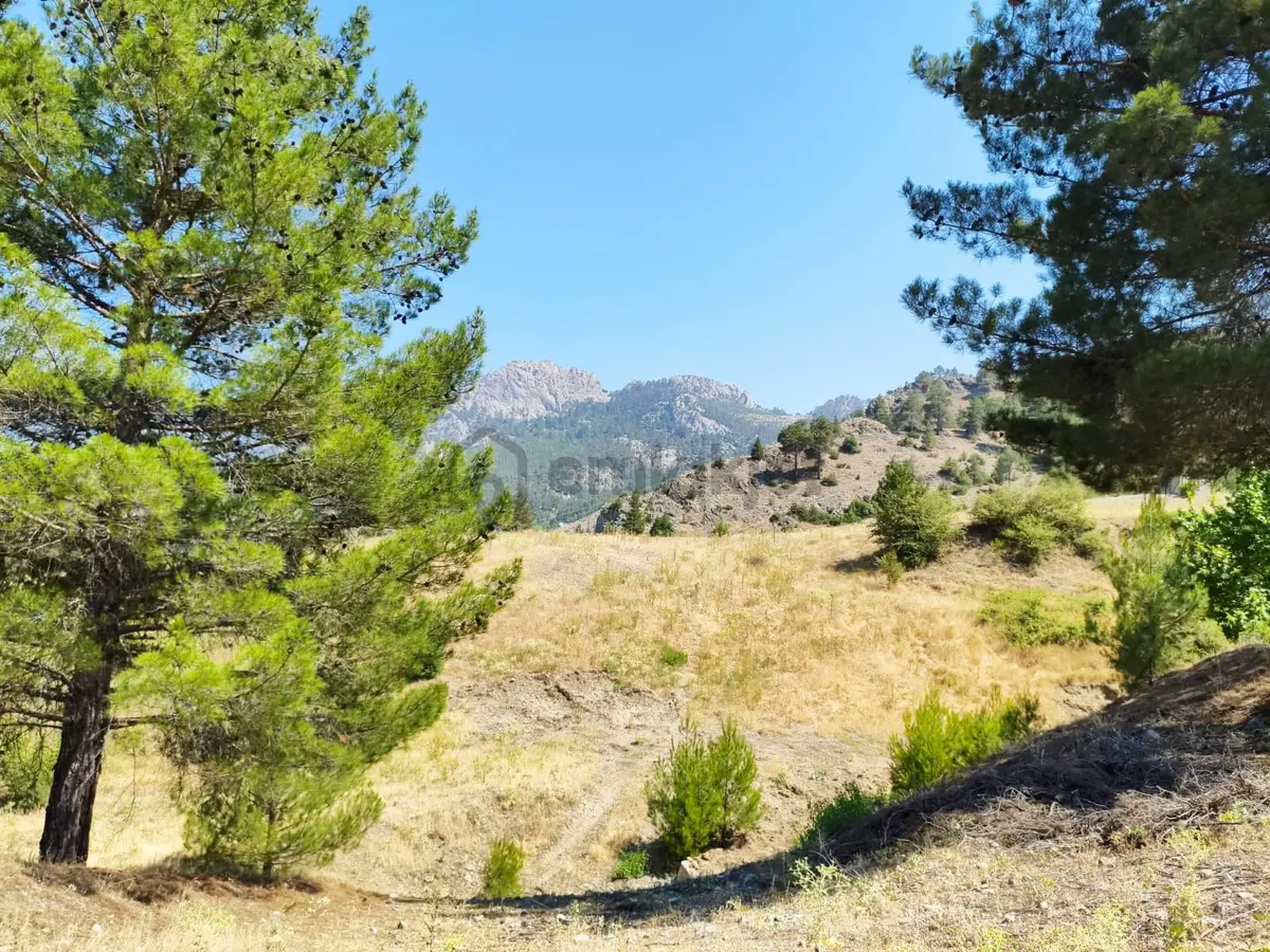 Kar Emlaktan Eskikonacıkta 500m2 Satılık Arsa - 28