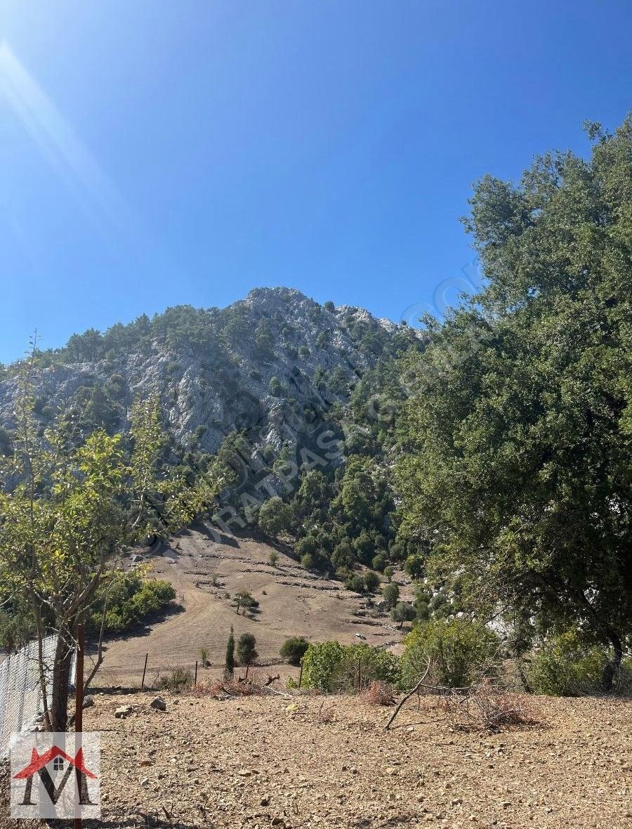 Bucak Kızılsekide İçerisinde 2 Adet Ev Bulunan 4413m2 Tarla - 26