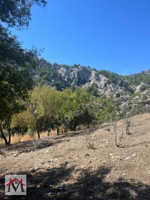 Bucak Kızılsekide İçerisinde 2 Adet Ev Bulunan 4413m2 Tarla - 8