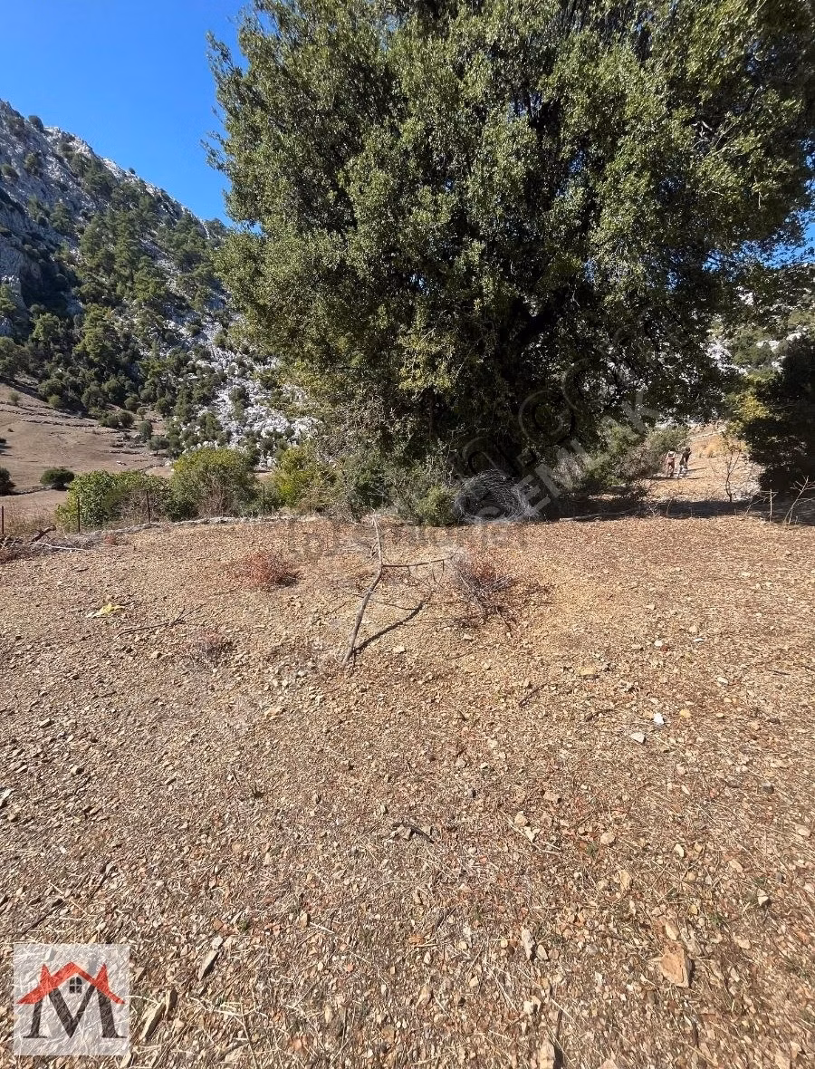 Bucak Kızılsekide İçerisinde 2 Adet Ev Bulunan 4413m2 Tarla - 4