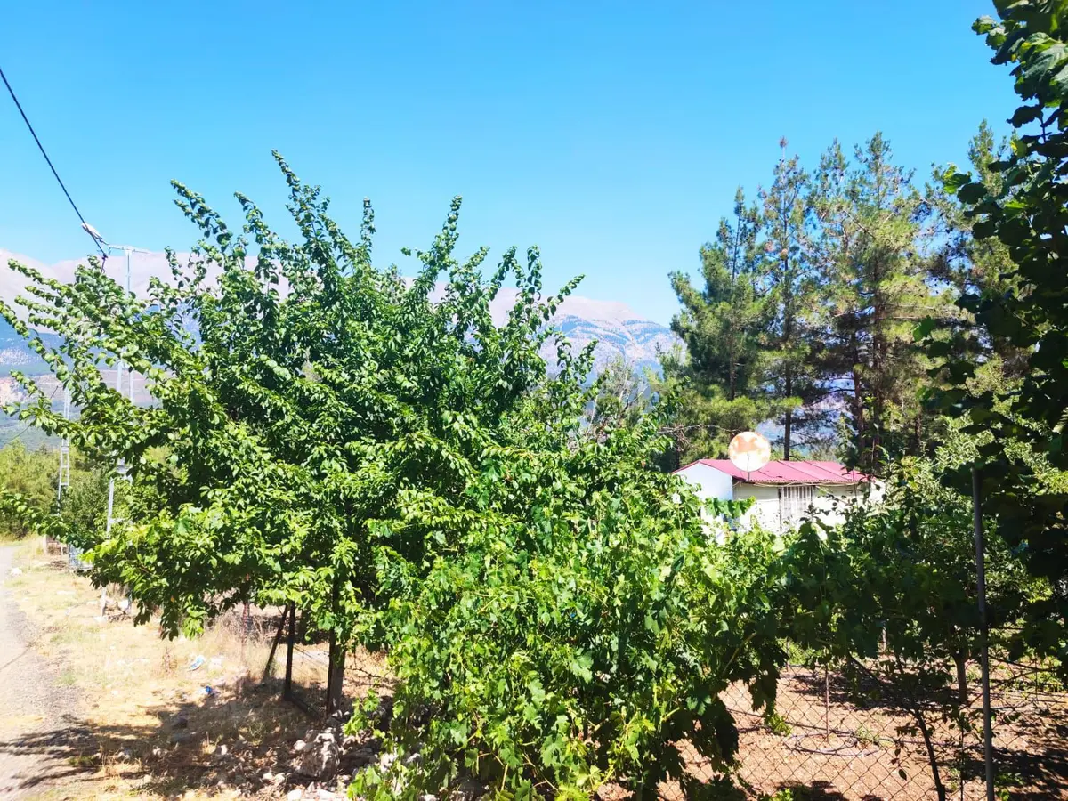 Kar Emlaktan Eskikonacıkta 240m2 Satılık Arsa - 9