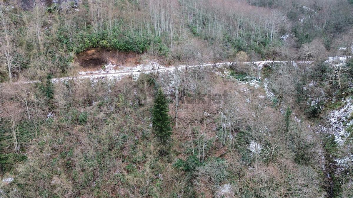 Trabzon Sürmenede Satılık Arazi - 11