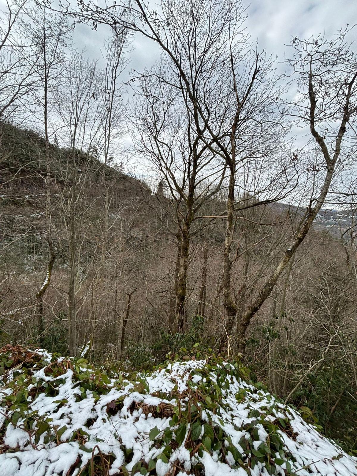 Trabzon Sürmenede Satılık Arazi - 16