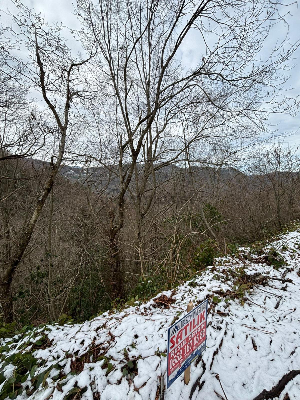 Trabzon Sürmenede Satılık Arazi - 6