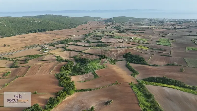 Mecidiye'de Sahile Yakın 5.200 M² Satılık Tarla - 12