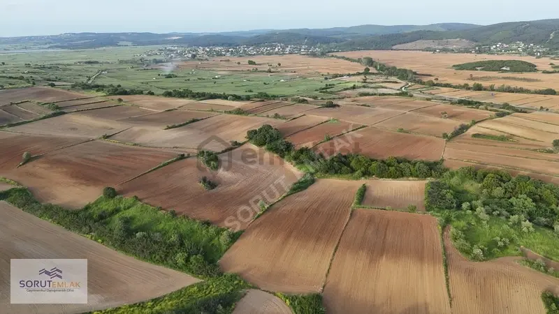 Mecidiye'de Sahile Yakın 5.200 M² Satılık Tarla - 16