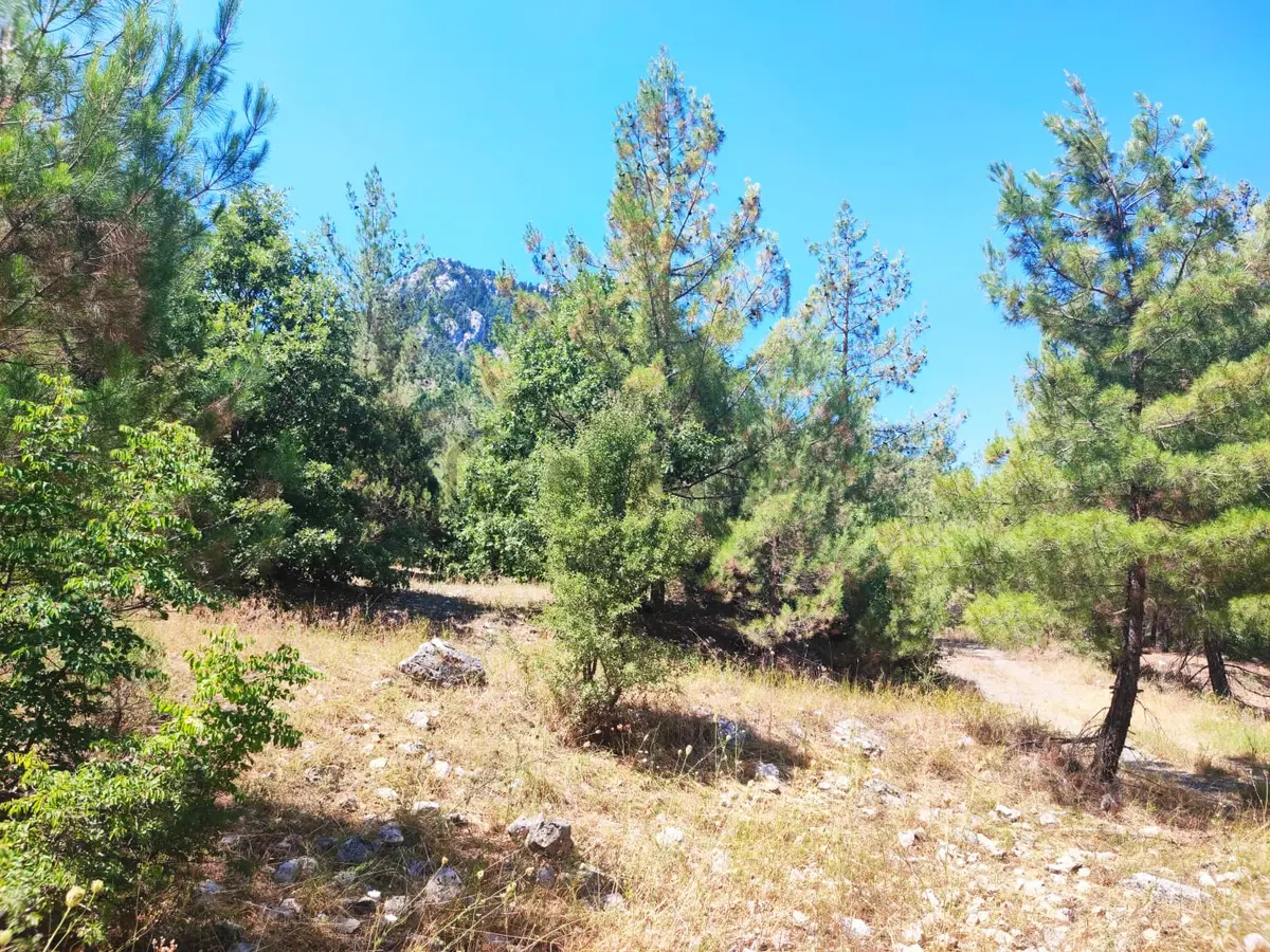 Kar Emmlaktan Eskkonacıkta 240 M2 Satılık Arsa - 13