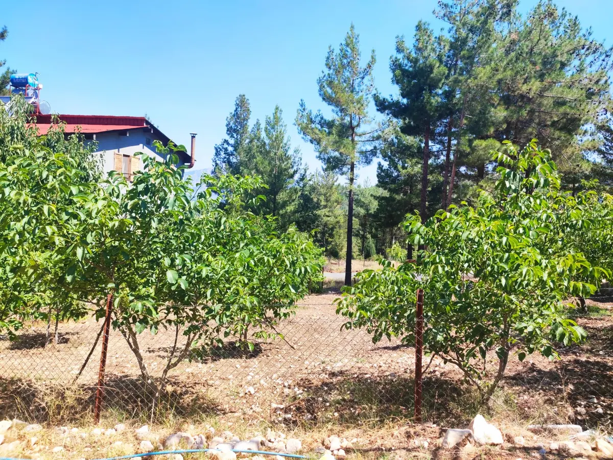 Kar Emmlaktan Eskkonacıkta 240 M2 Satılık Arsa - 2