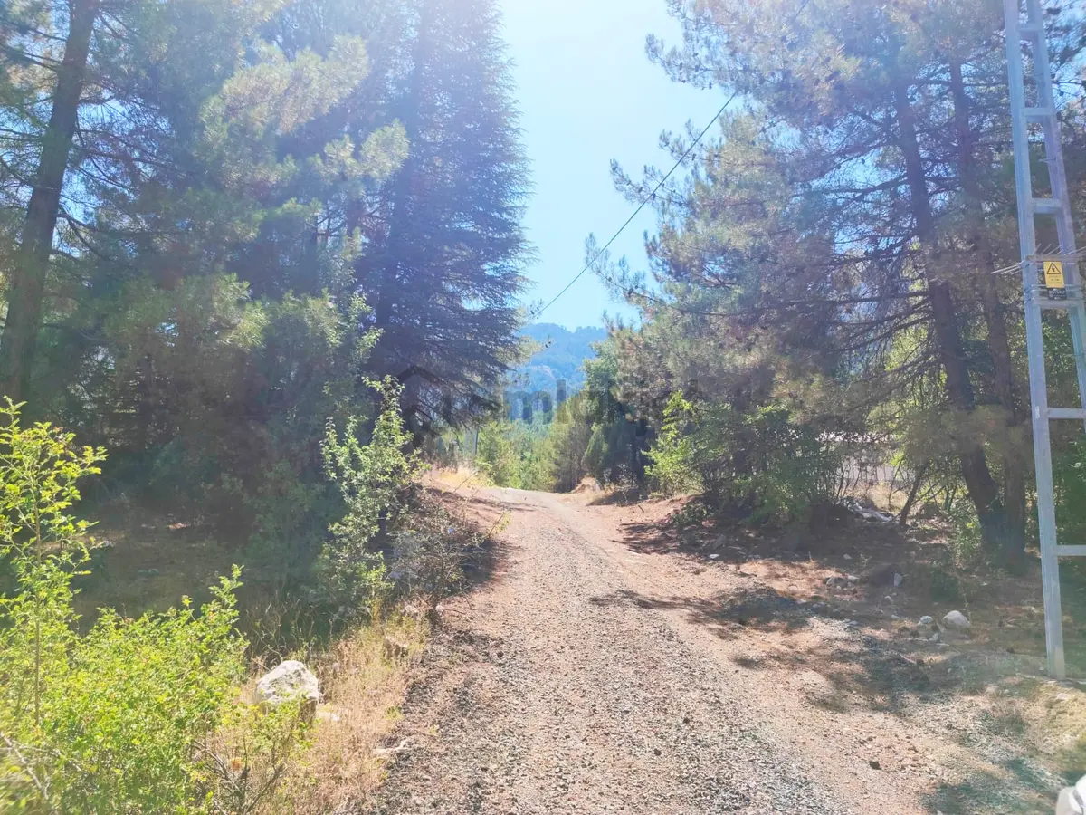 Kar Emmlaktan Eskkonacıkta 240 M2 Satılık Arsa - 9