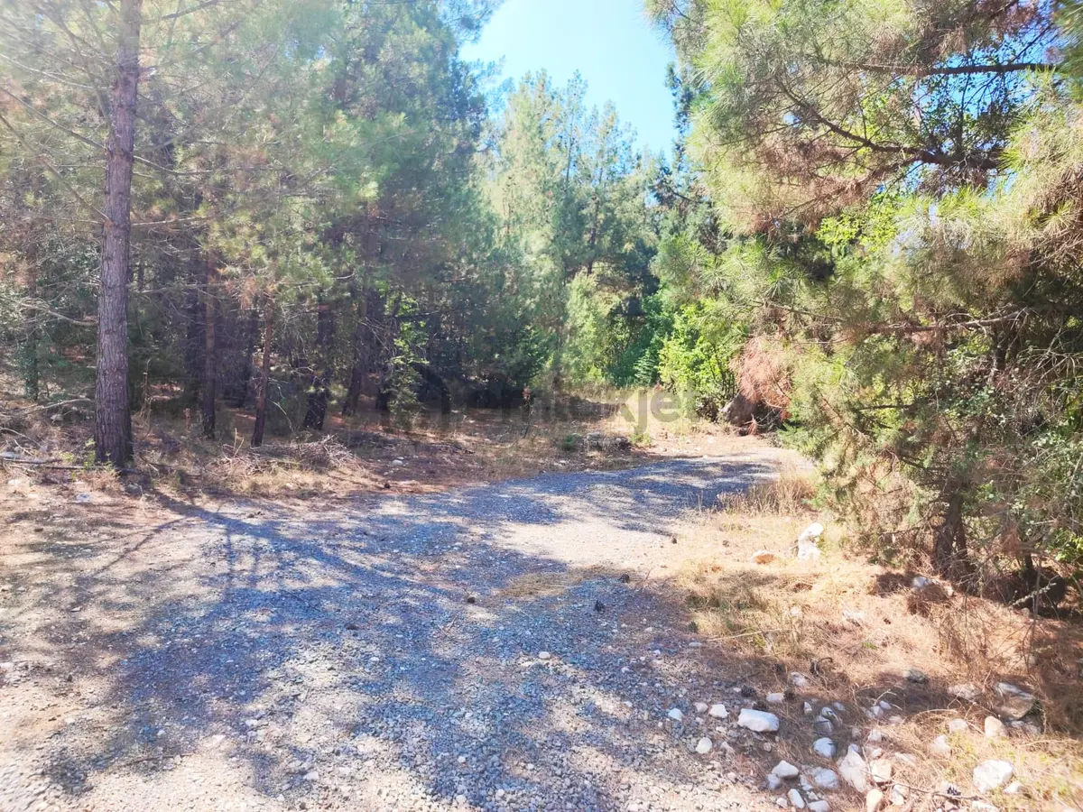Kar Emmlaktan Eskkonacıkta 240 M2 Satılık Arsa - 6