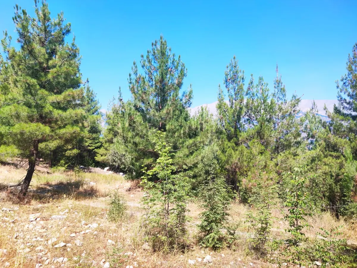 Kar Emmlaktan Eskkonacıkta 240 M2 Satılık Arsa - 12