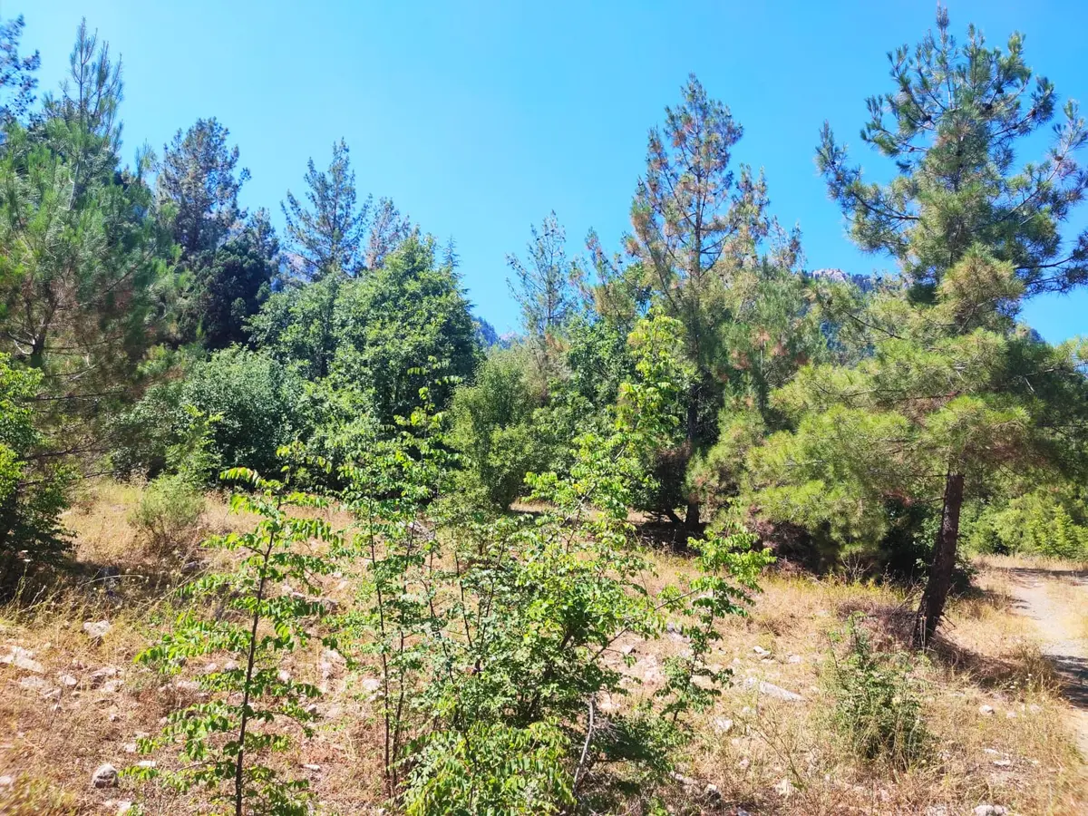 Kar Emmlaktan Eskkonacıkta 240 M2 Satılık Arsa - 15