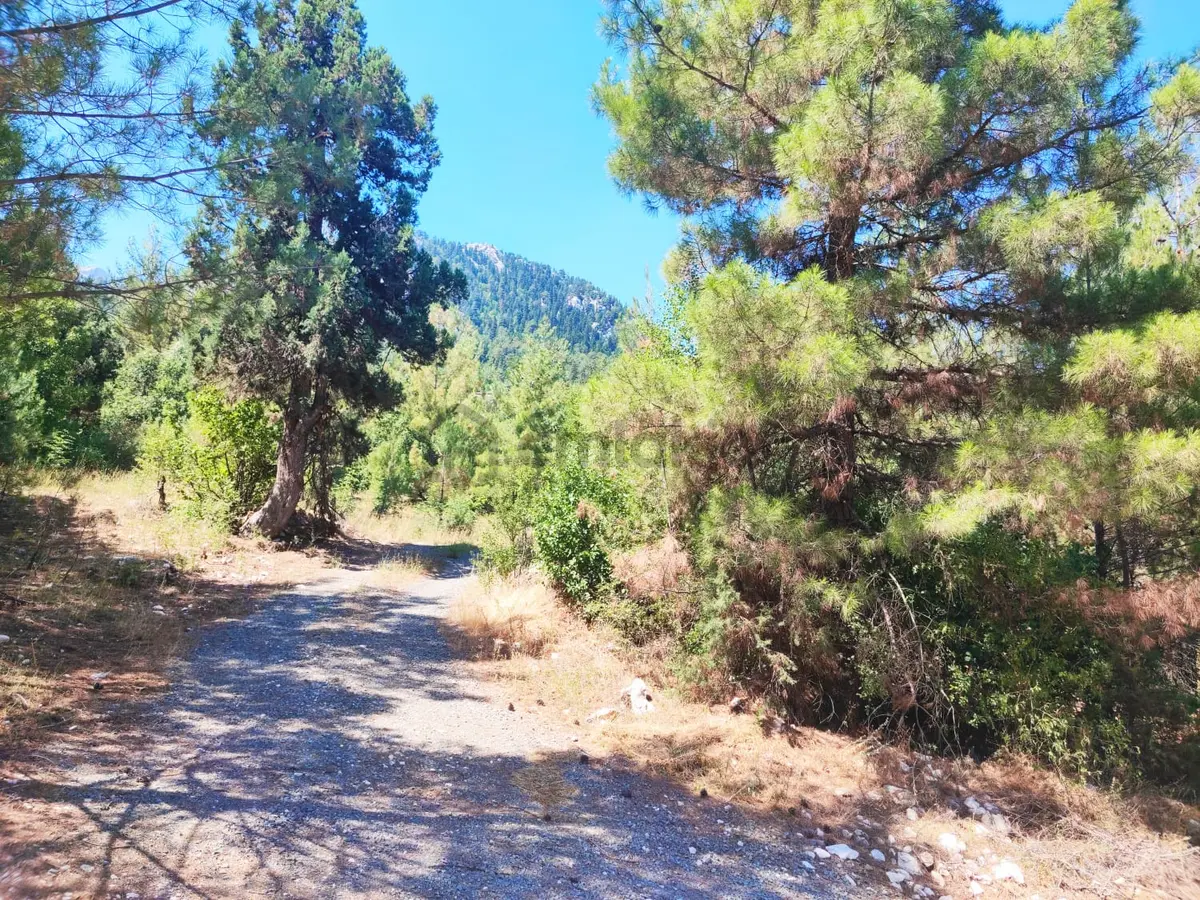 Kar Emmlaktan Eskkonacıkta 240 M2 Satılık Arsa - 10