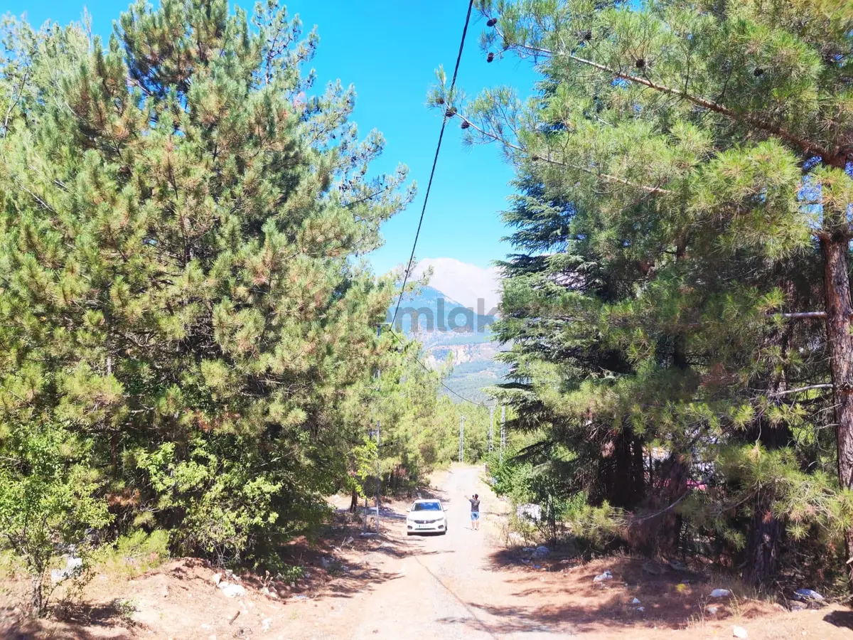 Kar Emmlaktan Eskkonacıkta 240 M2 Satılık Arsa - 30