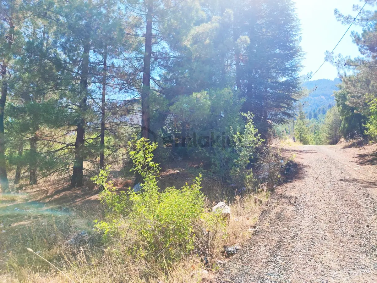 Kar Emmlaktan Eskkonacıkta 240 M2 Satılık Arsa - 22