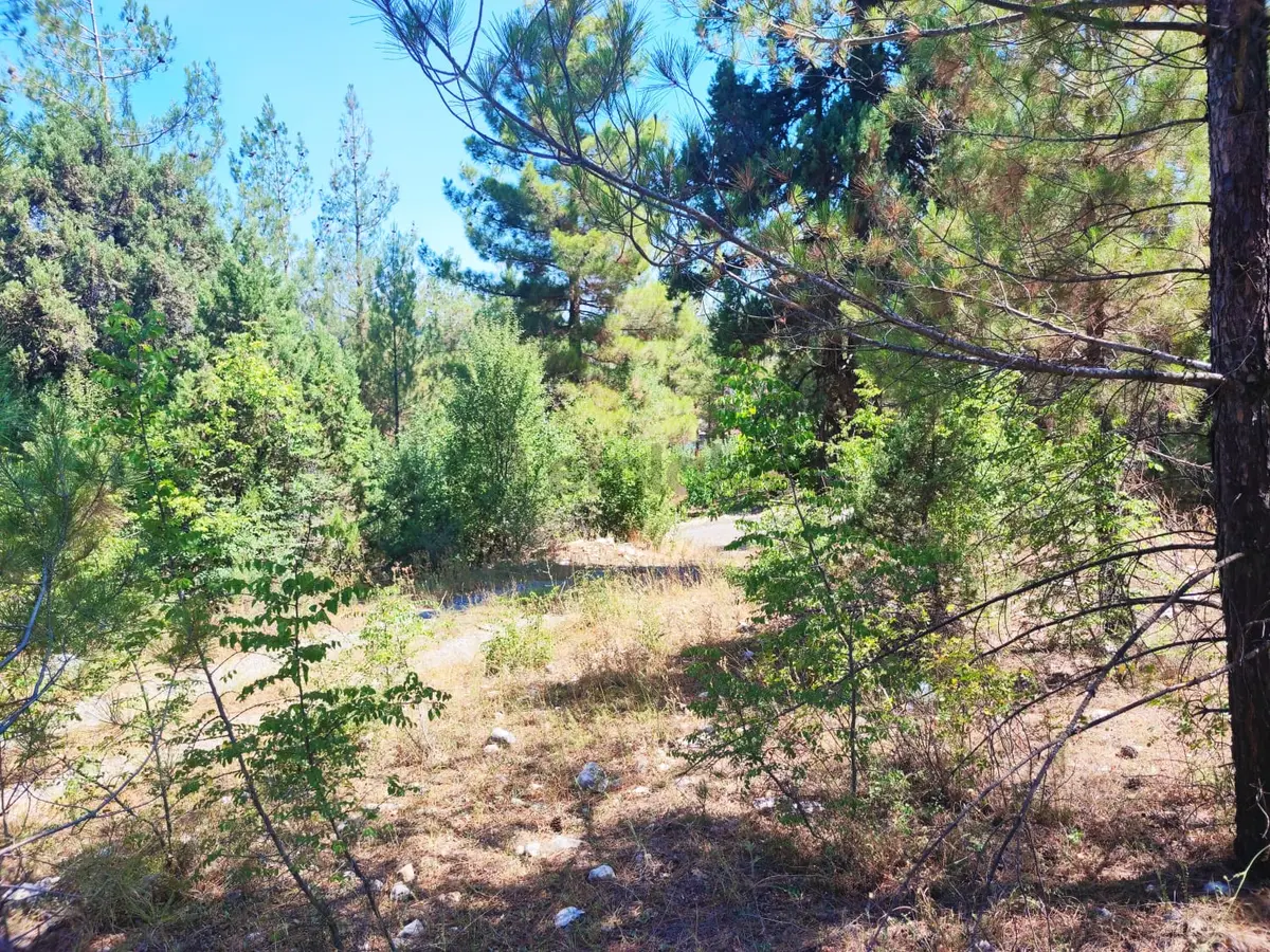 Kar Emmlaktan Eskkonacıkta 240 M2 Satılık Arsa - 16
