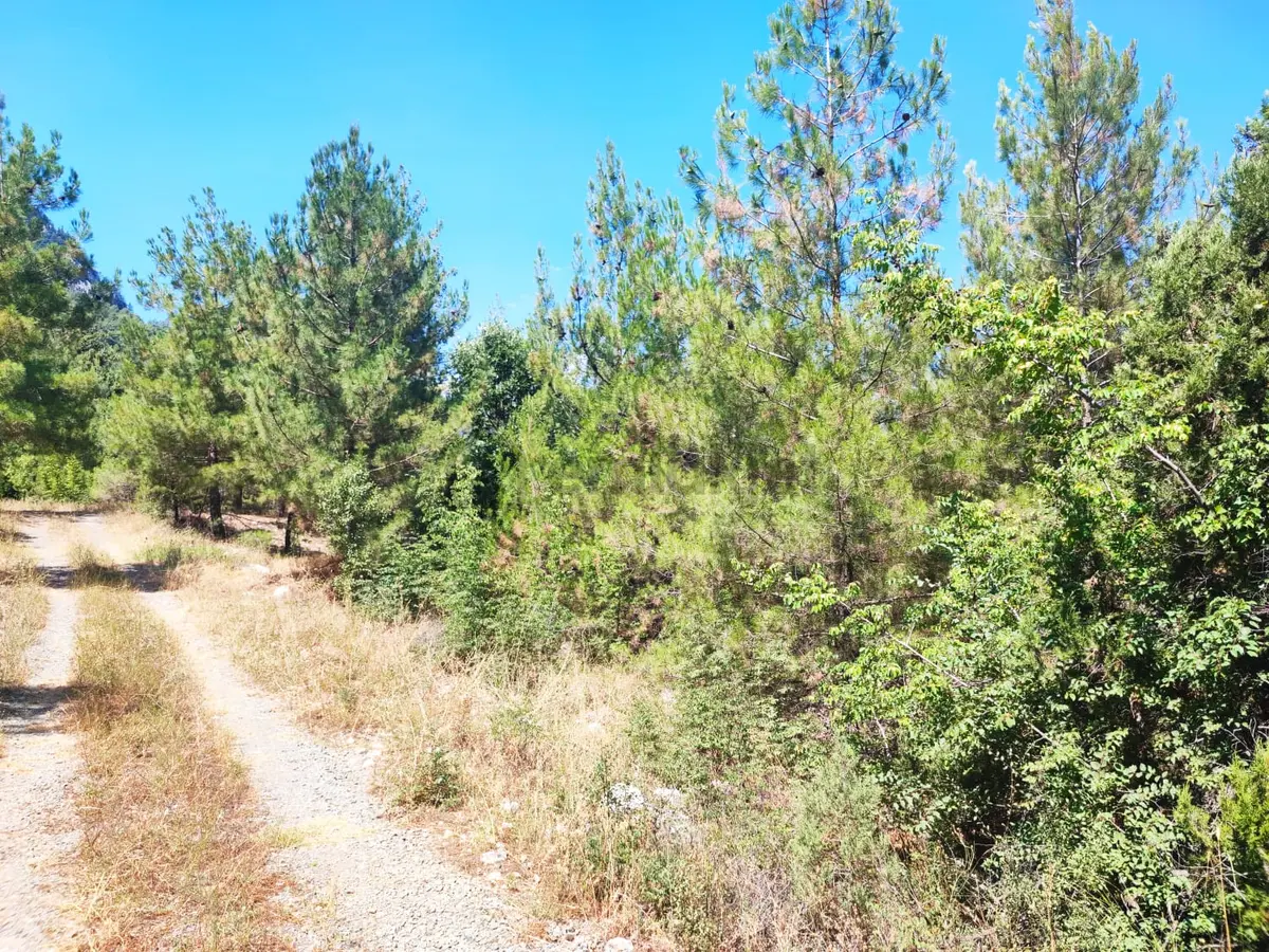 Kar Emmlaktan Eskkonacıkta 240 M2 Satılık Arsa - 17