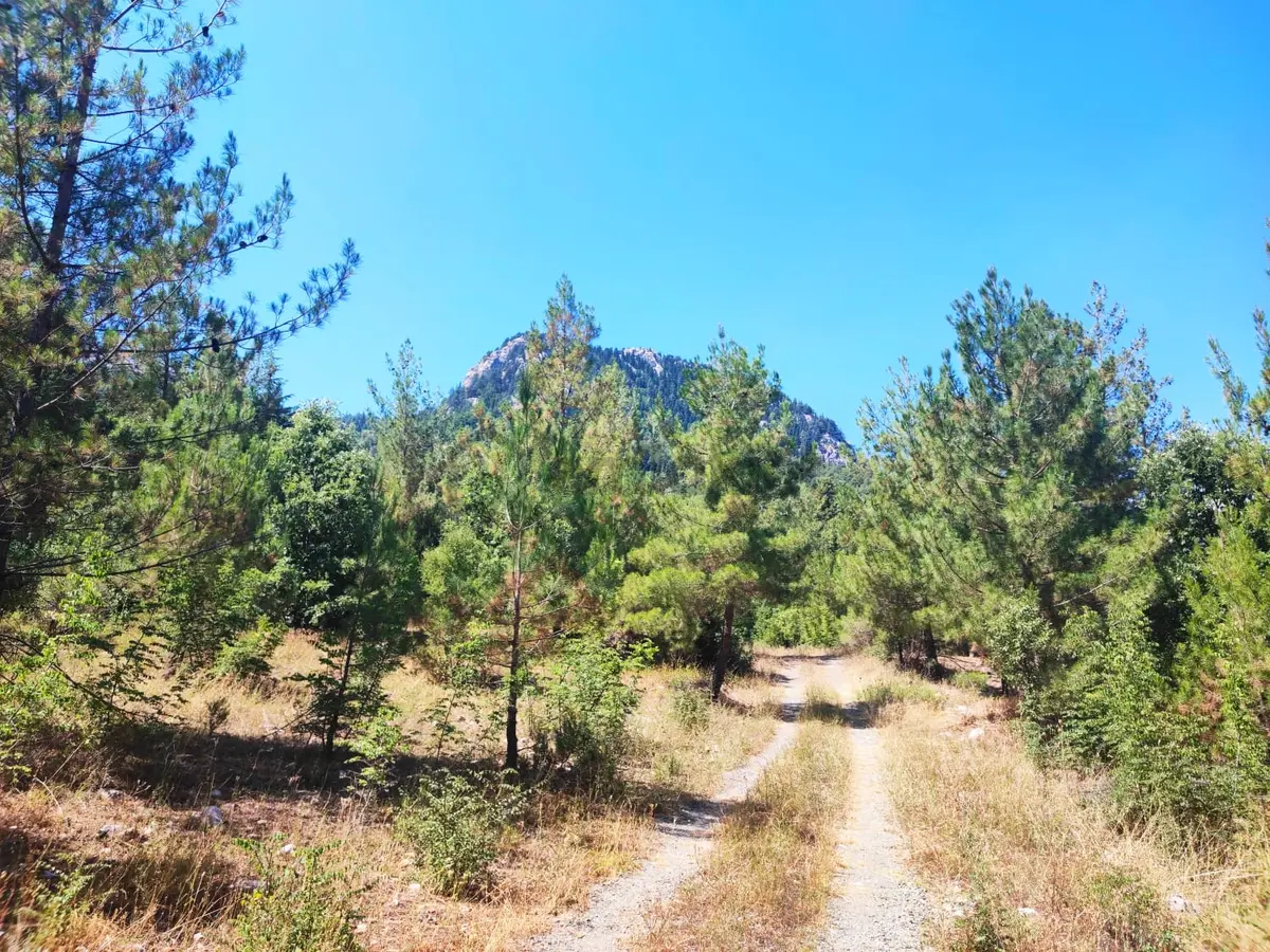 Kar Emmlaktan Eskkonacıkta 240 M2 Satılık Arsa - 20