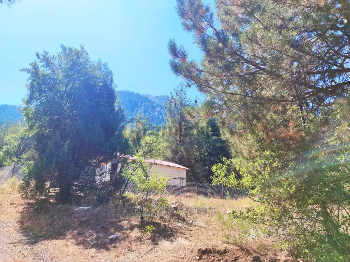 Kar Emmlaktan Eskkonacıkta 240 M2 Satılık Arsa - 24