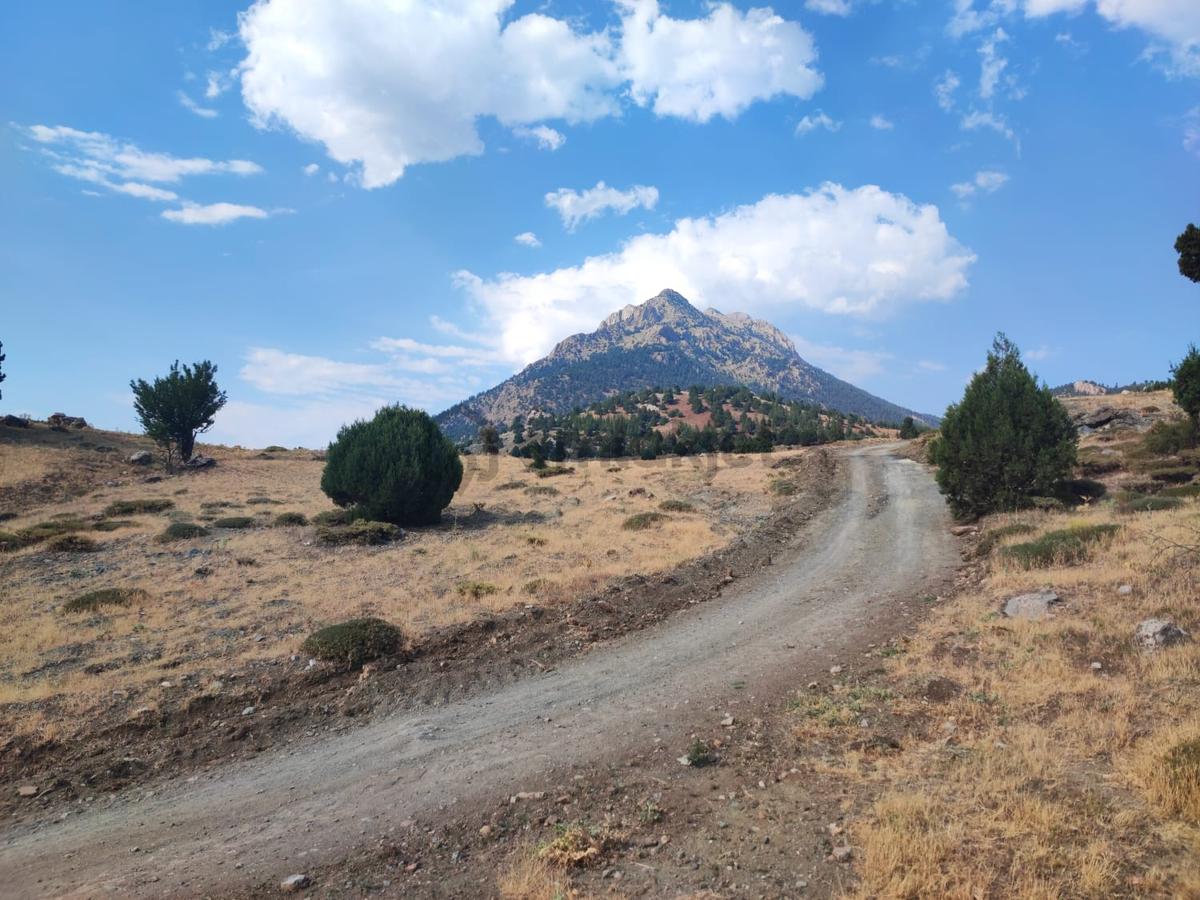 Kar Emlaktan Hamidiye Köyünde 460 M2 Satılık Arsa - 11