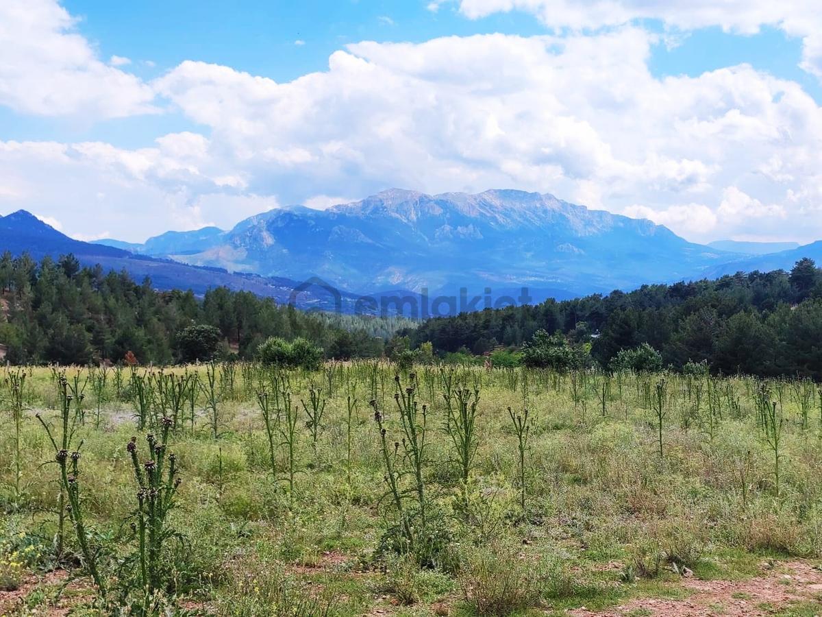 Kar Emlaktan Alpu Yaylasında 500 M2 Satılık Arsa - 22