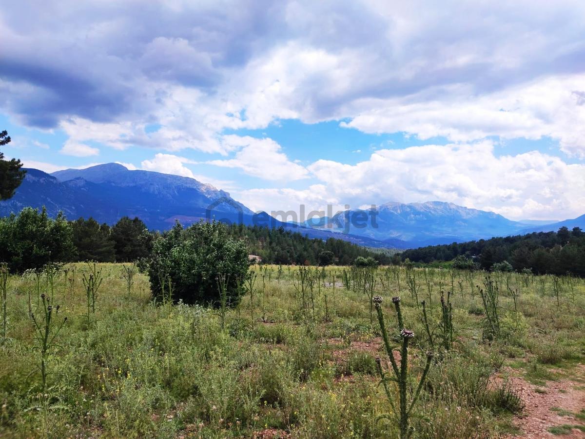Kar Emlaktan Alpu Yaylasında 500 M2 Satılık Arsa - 12