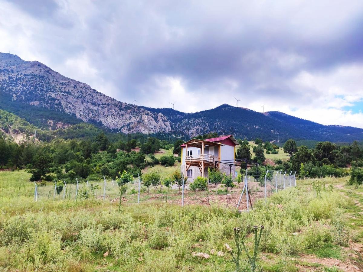 Kar Emlaktan Alpu Yaylasında 500 M2 Satılık Arsa - 24