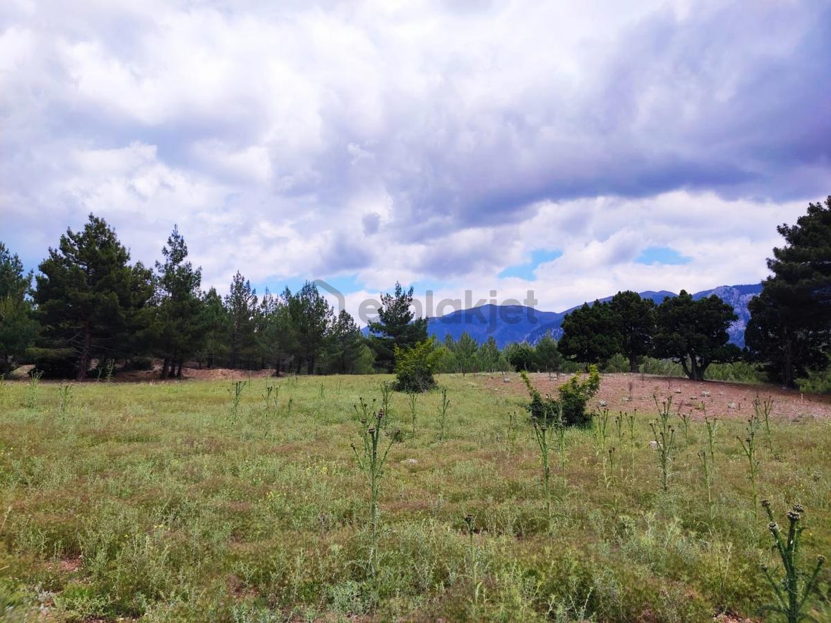 Kar Emlaktan Alpu Yaylasında 500 M2 Satılık Arsa - 9