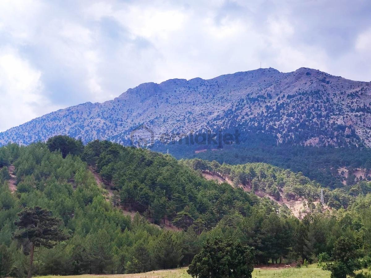 Kar Emlaktan Alpu Yaylasında 500 M2 Satılık Arsa - 4