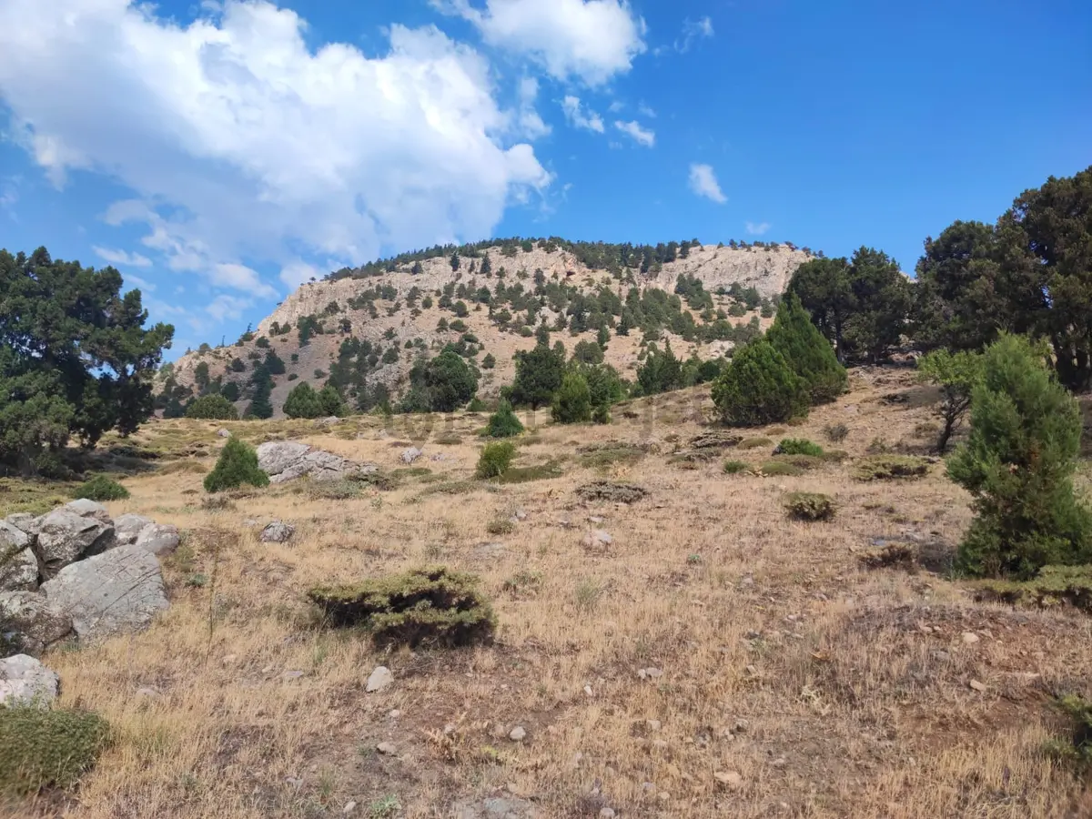 Kar Emlaktan Hamidiye Köyünde 460 M2 Satılık Arsa - 14
