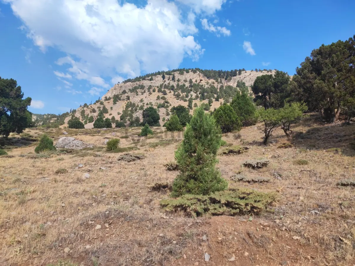 Kar Emlaktan Hamidiye Köyünde 460 M2 Satılık Arsa - 15
