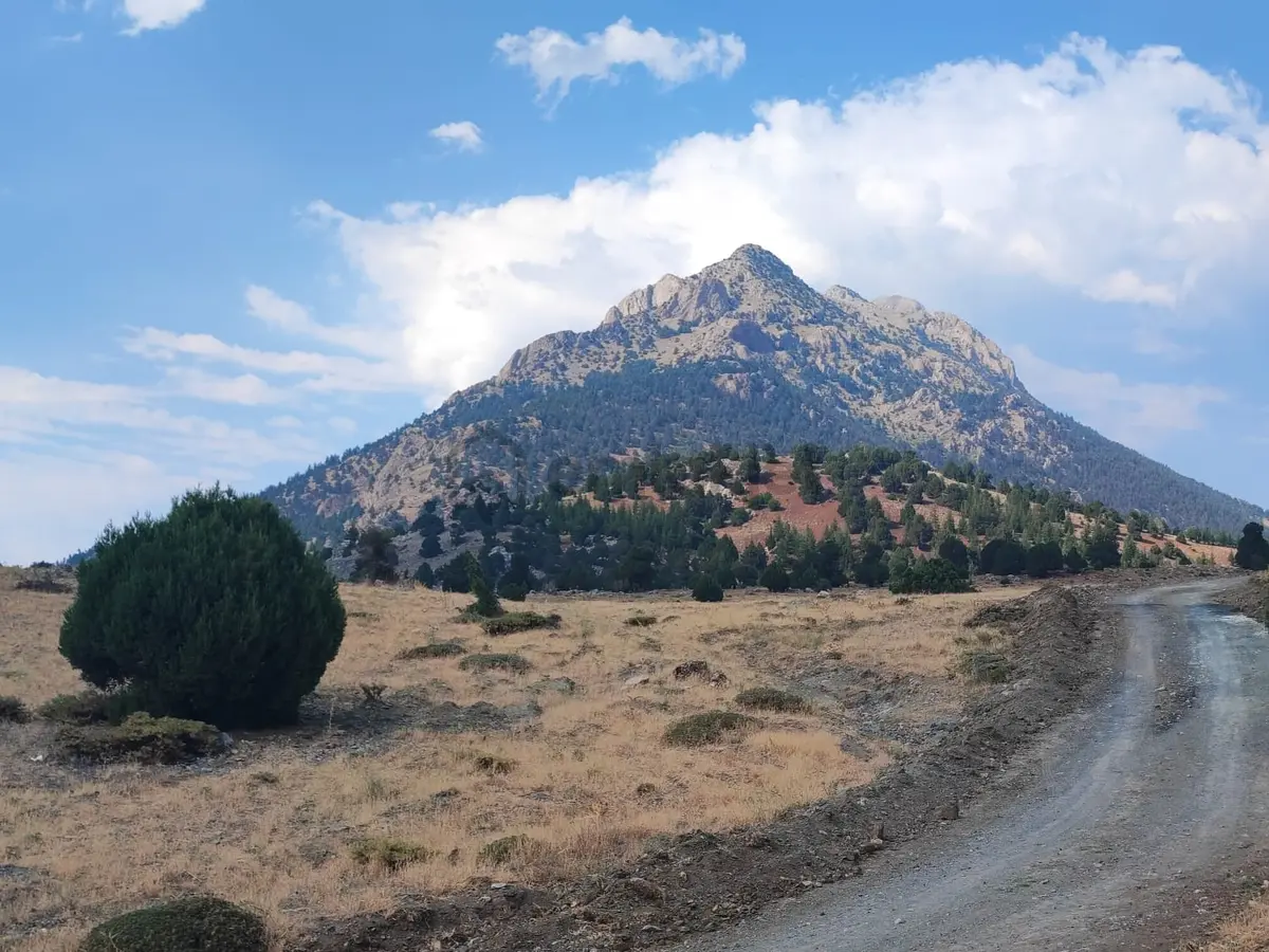 Kar Emlaktan Hamidiye Köyünde 460 M2 Satılık Arsa - 7
