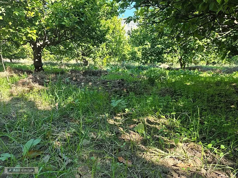 Ortaca Çaylı'da Satılık 10.500 M² Konut İmarlı Arsa - 16