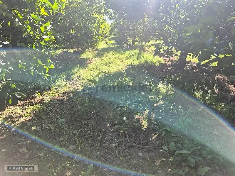 Ortaca Çaylı'da Satılık 10.500 M² Konut İmarlı Arsa - 11