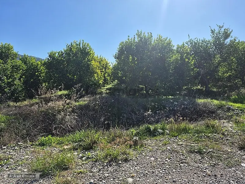 Ortaca Çaylı'da Satılık 10.500 M² Konut İmarlı Arsa - 35