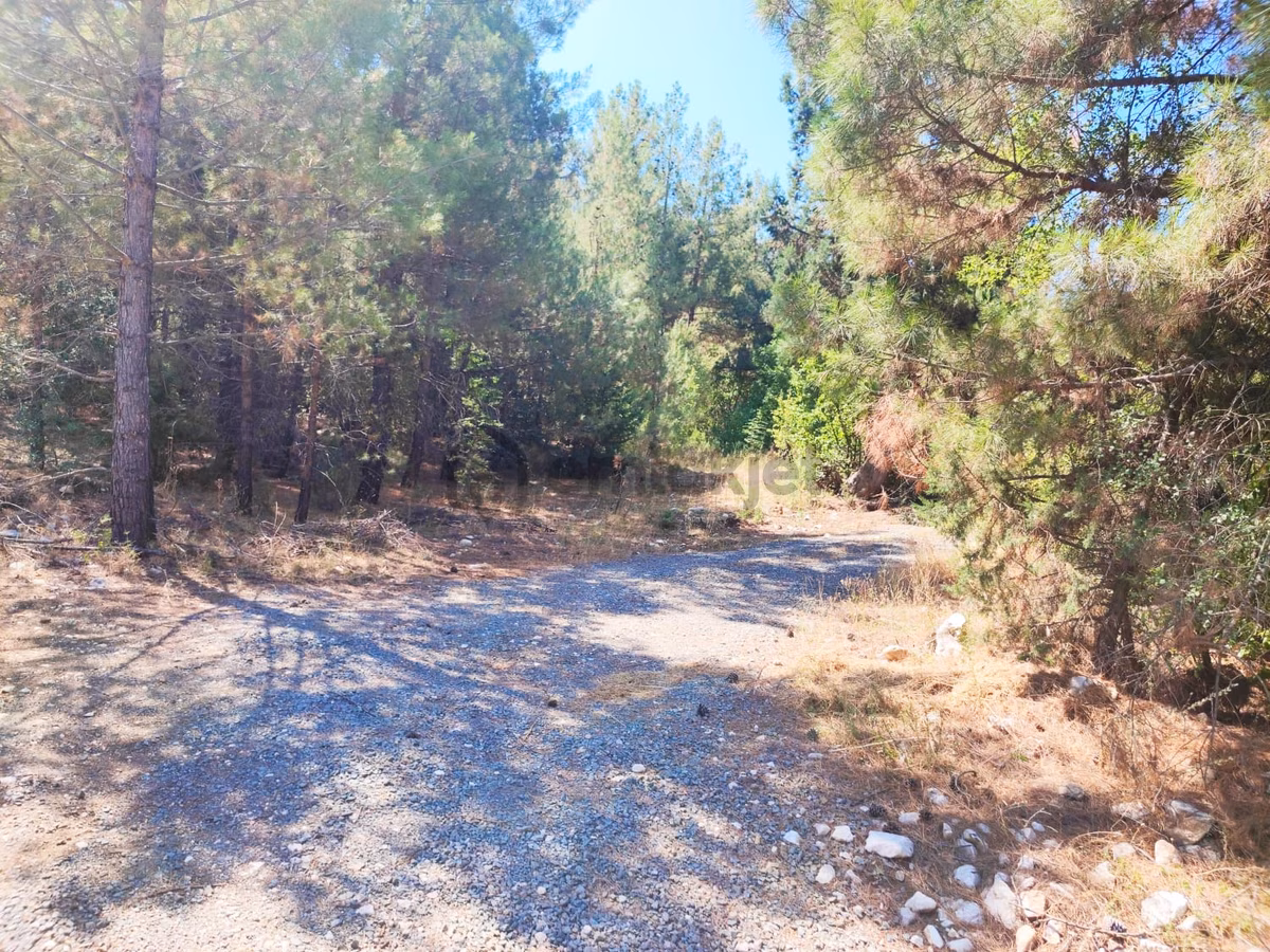 Kar Emlaktan Eski Konacıkda 240 M2 Satılık Arsa - 6