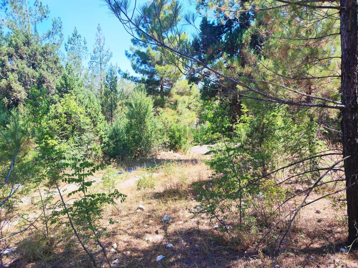 Kar Emlaktan Eski Konacıkda 240 M2 Satılık Arsa - 16