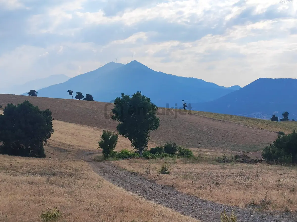 Kar Emlaktan Hamidiye Köyünde 460 M2 Satılık Arsa - 6