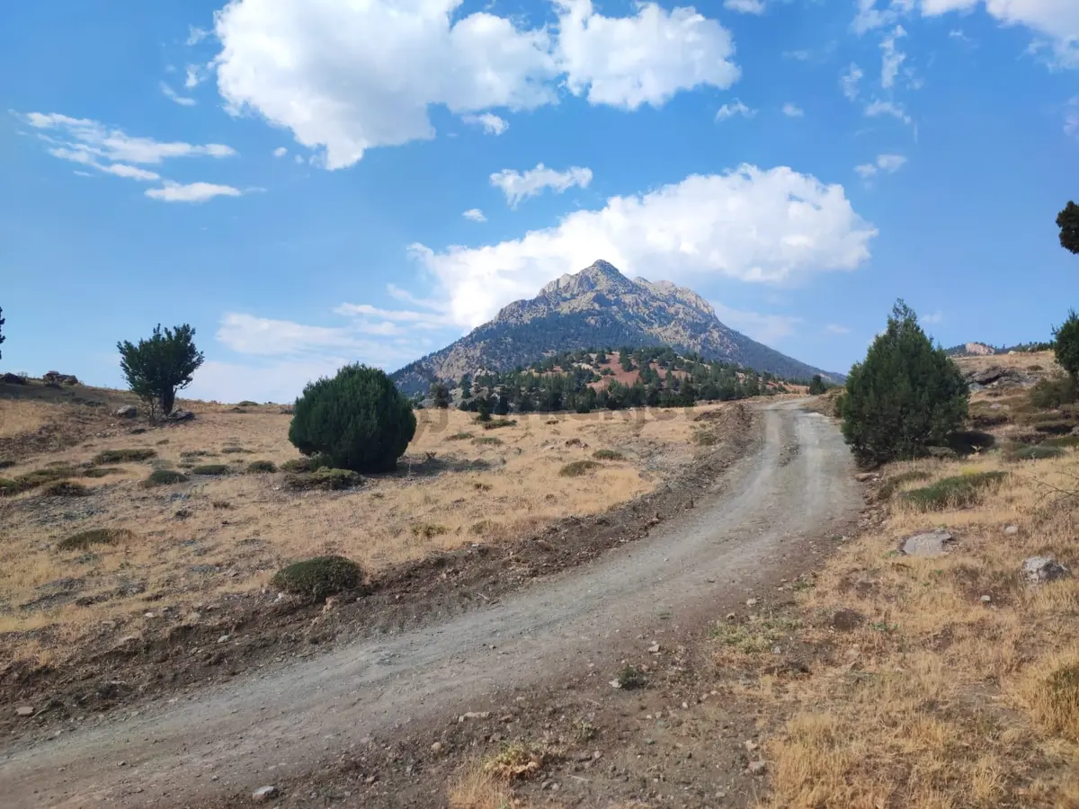 Kar Emlaktan Hamidiye Köyünde 460 M2 Satılık Arsa - 2