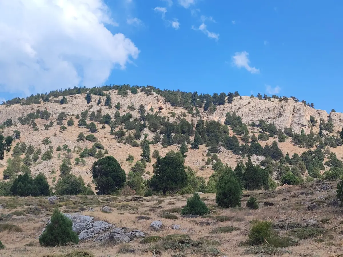 Kar Emlaktan Hamidiye Köyünde 460 M2 Satılık Arsa - 9