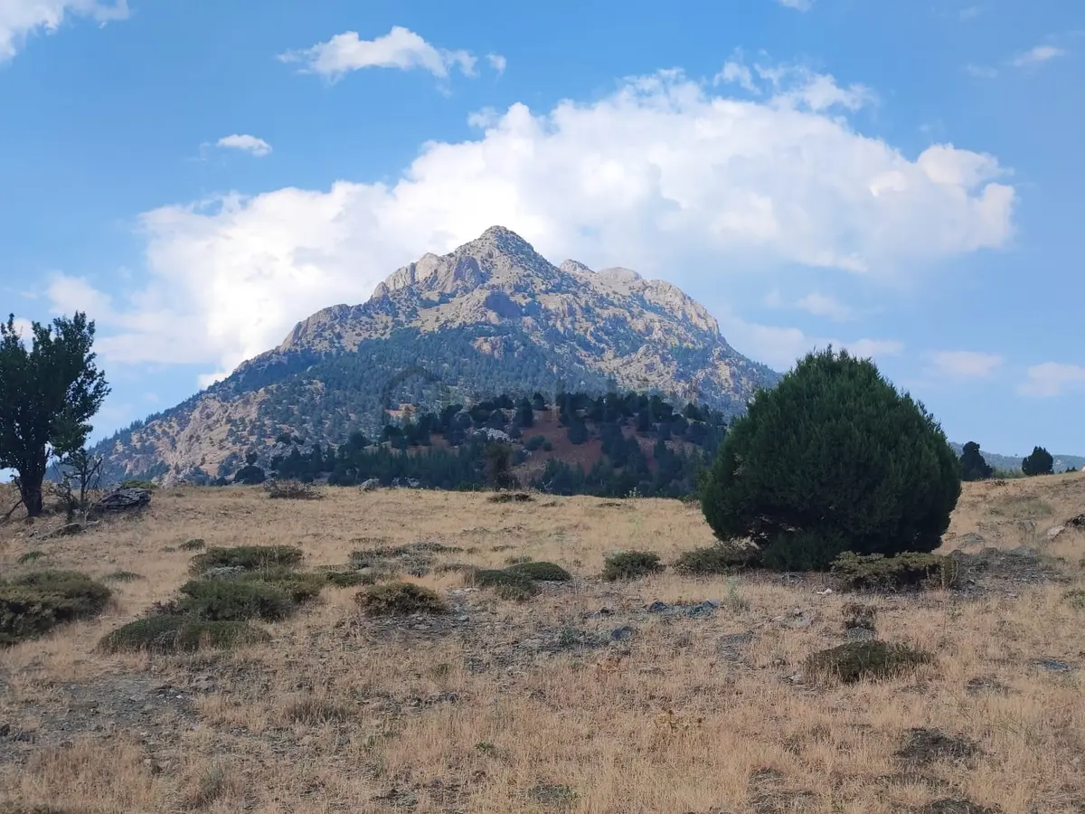 Kar Emlaktan Hamidiye Köyünde 460 M2 Satılık Arsa - 5