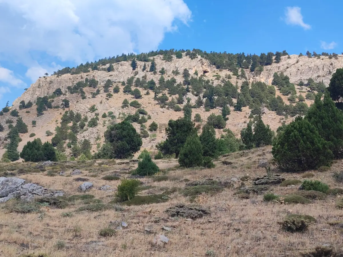 Kar Emlaktan Hamidiye Köyünde 460 M2 Satılık Arsa - 4