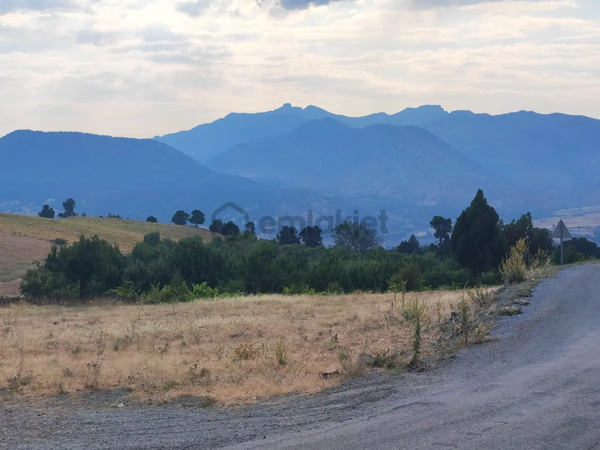 Kar Emlaktan Hamidiye Köyünde 460 M2 Satılık Arsa - 8