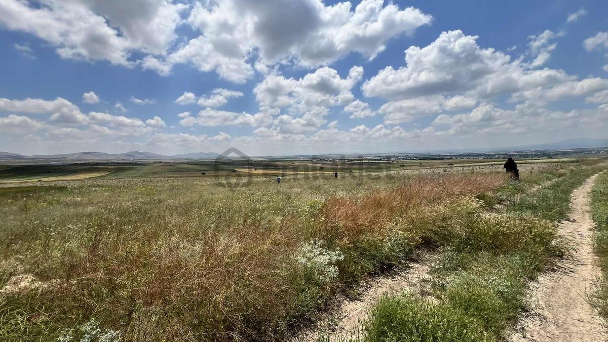 Meram Güneydere Botsa Mahallesi 2500m2 Müstakil Tarla - 3