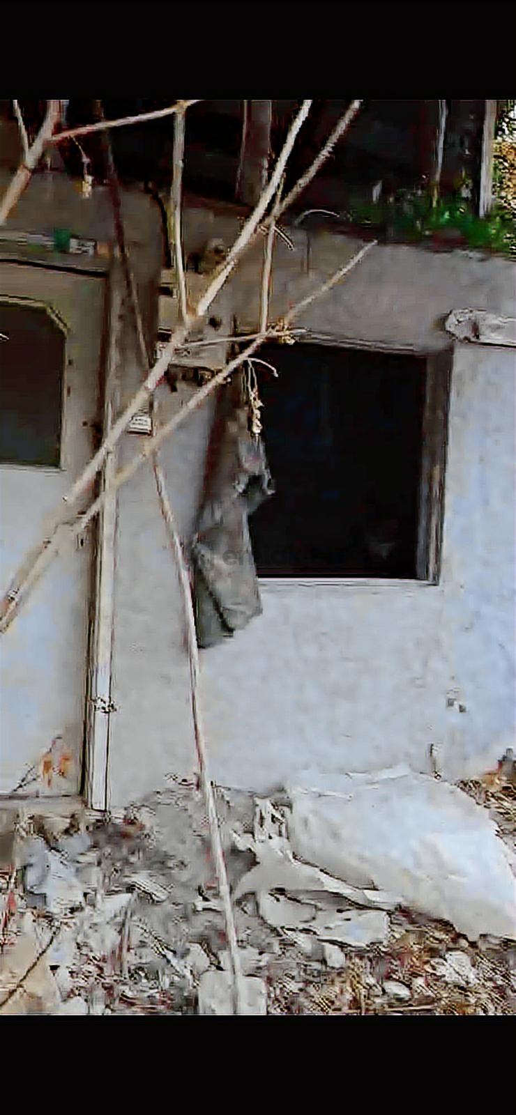 3 Parça Arsamız Satılık - 12